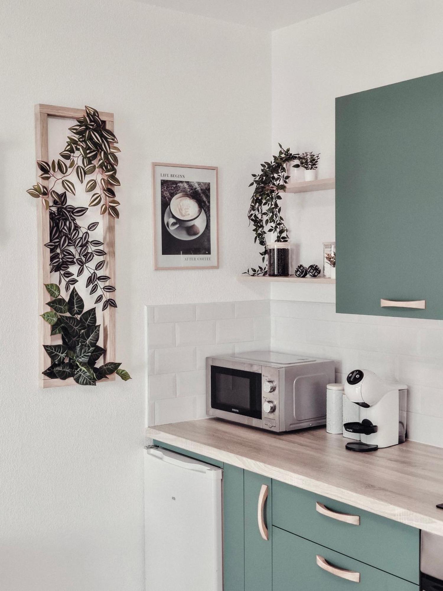 La Parenthese Au Coeur Des Palmiers, Sur Les Hauteurs De Grasse Extérieur photo